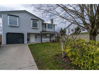 Photo 1: 9197 212A Place in Langley: Walnut Grove House for sale : MLS®# R2246597