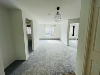 Main Photo: 317 7110 80 Avenue NE in Calgary: Saddle Ridge Apartment for sale : MLS®# A2081695