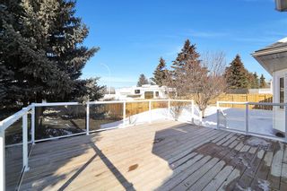Photo 46: 5520 Silverthorn Road: Olds Detached for sale : MLS®# A2034295