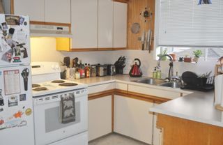 Photo 15: 3462 E 28TH Avenue in Vancouver: Renfrew Heights House for sale (Vancouver East)  : MLS®# R2661437