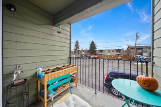 Photo 19: 206 4512 75 Street NW in Calgary: Bowness Apartment for sale : MLS®# A2010077