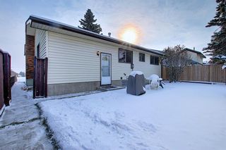 Photo 22: 4323 49 Street NE in Calgary: Whitehorn Detached for sale : MLS®# A1043612