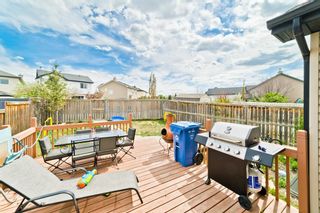 Photo 28: 43 Martha's Close NE in Calgary: Martindale Detached for sale : MLS®# A1257802