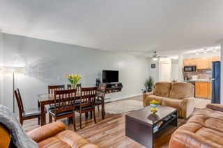 Photo 9: 308 4000 Citadel Meadow Point NW in Calgary: Citadel Apartment for sale : MLS®# A2142233