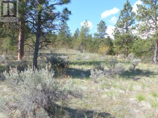 Photo 27: 8900 GILMAN Road in Summerland: Vacant Land for sale : MLS®# 198236