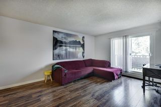 Photo 11: 427 550 Westwood Drive SW in Calgary: Westgate Apartment for sale : MLS®# A2050573