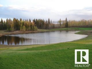 Photo 8: 13240 199 Street in Edmonton: Zone 59 Vacant Lot/Land for sale : MLS®# E4363675