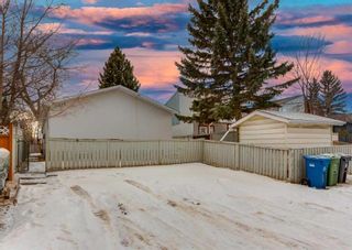 Photo 22: 3015 32A Avenue SE in Calgary: Dover Detached for sale : MLS®# A2115497
