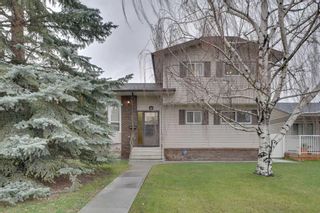 Photo 1: 51 Templehill Drive NE in Calgary: Temple Detached for sale : MLS®# A2128076