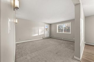 Photo 8: 217 6108 53 Street: Olds Apartment for sale : MLS®# A2017875