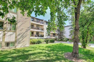 Photo 8: 303 130 25 Avenue SW in Calgary: Mission Apartment for sale : MLS®# A1023034