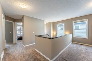 Photo 17: 205 Copperfield Common SE in Calgary: Copperfield Detached for sale : MLS®# A2003342