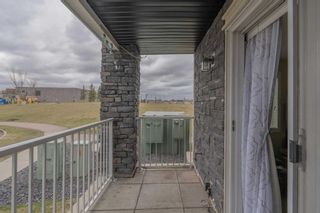 Photo 21: 3101 115 Prestwick Villas SE in Calgary: McKenzie Towne Apartment for sale : MLS®# A2129213