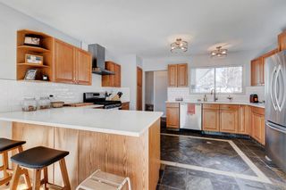 Photo 5: 57 Walnut Drive SW in Calgary: Wildwood Detached for sale : MLS®# A2026146