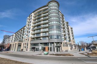 Photo 4: 1005 38 9 Street NE in Calgary: Bridgeland/Riverside Apartment for sale : MLS®# A1077953