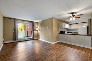 Photo 15: 202 1915 26 Street SW in Calgary: Killarney/Glengarry Apartment for sale : MLS®# A2017761