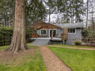 Photo 12: 731 Bradley Dyne Rd in North Saanich: NS Ardmore House for sale : MLS®# 870727