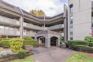Photo 25: 302 - 1200 Pacific Street in Coquitlam: North Coquitlam Condo for sale : MLS®# R2632139