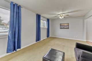 Photo 5: 8815 36 Avenue NW in Calgary: Bowness Detached for sale : MLS®# A1151045