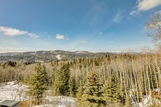 Photo 41: 336198 223 Avenue W: Rural Foothills County Detached for sale : MLS®# A2031602