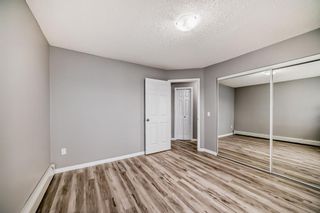 Photo 13: 101 11 Dover Point SE in Calgary: Dover Apartment for sale : MLS®# A2123034