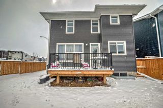 Photo 35: 93 Red Sky Road NE in Calgary: Redstone Detached for sale : MLS®# A2123684