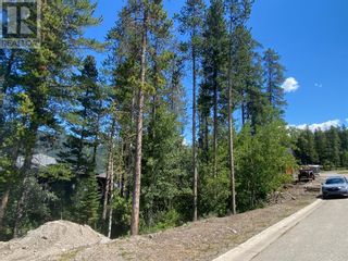 Photo 5: 1813 112 Street in Blairmore: Vacant Land for sale : MLS®# A2027081