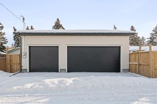 Photo 39: 8 Lenton Place SW in Calgary: North Glenmore Park Detached for sale : MLS®# A2030611