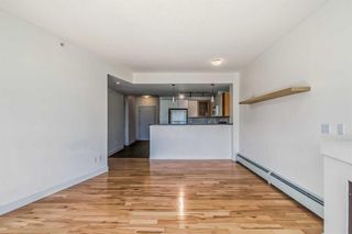 Photo 34: 444 315 24 Avenue SW in Calgary: Mission Apartment for sale : MLS®# A2072887