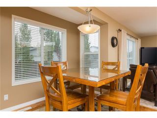 Photo 16: 145 WEST CREEK Boulevard: Chestermere House for sale : MLS®# C4073068