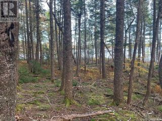 Photo 7: Lot Salmon Bay Drive|PID 70113204 in Greenfield: Vacant Land for sale : MLS®# 202322688