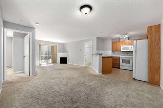 Photo 12: 210 428 Chaparral Ravine View SE in Calgary: Chaparral Apartment for sale : MLS®# A2114017