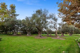Photo 62: 2 Gateview Drive in Fallbrook: Residential for sale (92028 - Fallbrook)  : MLS®# OC22229025