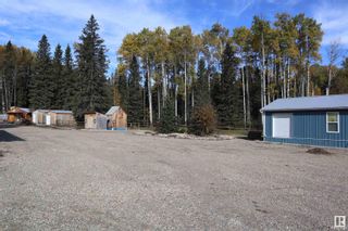 Photo 40: 75040 B & C TWP RD 451: Rural Wetaskiwin County House for sale : MLS®# E4368759
