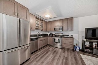 Photo 11: 105 733 14 Avenue SW in Calgary: Beltline Apartment for sale : MLS®# A2123336