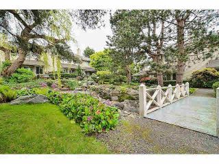 Photo 19: 54 7613 WHITESPRAY Drive in Vancouver: Marpole Townhouse for sale in "LANGARA SPRINGS" (Vancouver West)  : MLS®# V1063410