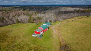 Photo 19: 160 Gate Road in Elderbank: 35-Halifax County East Residential for sale (Halifax-Dartmouth)  : MLS®# 202324011