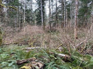 Photo 3: Lot 1 S Island Hwy in Courtenay: CV Courtenay South Land for sale (Comox Valley)  : MLS®# 873584