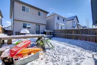 Photo 37: 47 Bridlecrest Road SW in Calgary: Bridlewood Detached for sale : MLS®# A1188357