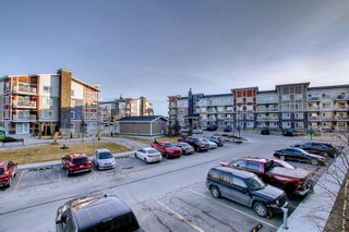 Photo 23: 1205 302 Skyview Ranch Drive NE in Calgary: Skyview Ranch Apartment for sale : MLS®# A2007686