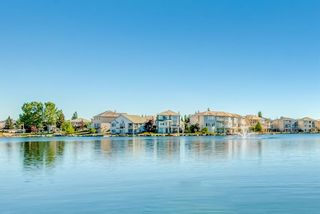 Photo 38: 240 Coral Shores Bay NE in Calgary: Coral Springs Detached for sale : MLS®# A1255470