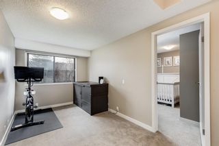 Photo 17: 42 Point Drive NW in Calgary: Point McKay Row/Townhouse for sale : MLS®# A1216632