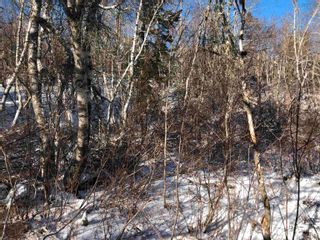 Photo 30: Lot 5 Lakeview Drive in Lake La Rose: Annapolis County Vacant Land for sale (Annapolis Valley)  : MLS®# 202300542