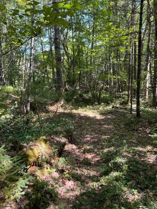 Photo 45: 809 Highway 203 in Lower Ohio: 407-Shelburne County Residential for sale (South Shore)  : MLS®# 202318046