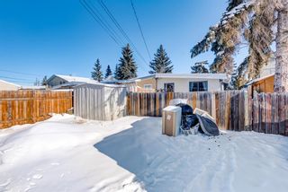 Photo 29: 2015 40 Street SE in Calgary: Forest Lawn Semi Detached for sale : MLS®# A1068609