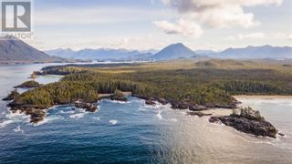 Photo 8: Lot A Vargas Island in Tofino: Vacant Land for sale : MLS®# 956243