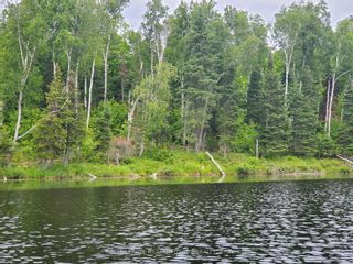 Photo 4: Pt4,5,6 Cadden Lake in Parry Sound Remote Area: Property for sale : MLS®# X6220916