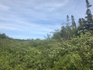 Photo 2: 217 Highway in Central Grove: 401-Digby County Vacant Land for sale (Annapolis Valley)  : MLS®# 202001807