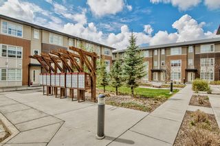 Photo 39: 737 Evanston Drive NW in Calgary: Evanston Row/Townhouse for sale : MLS®# A2054576