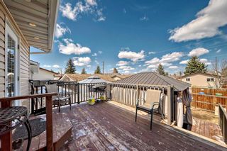 Photo 29: 24 Bedwood Crescent in Calgary: Beddington Heights Detached for sale : MLS®# A2123822